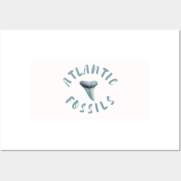 Light Blue Atlantic Fossils Shark Tooth White Print Wall Art by AtlanticFossils